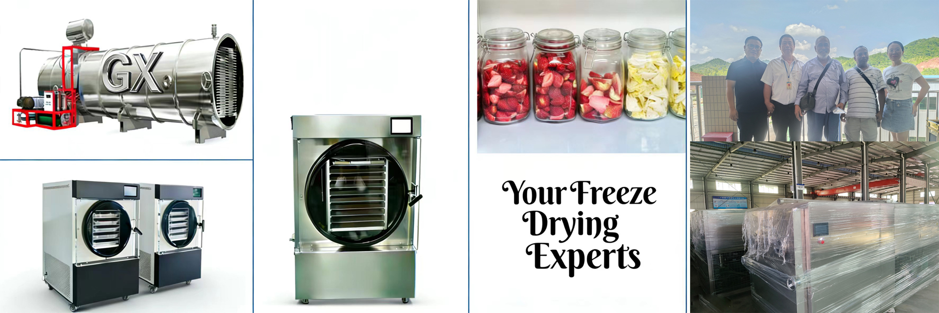 کیفیت فریز خشک کن خانگی کارخانه