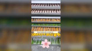 خشک کن 100 کیلوگرمی مواد غذایی برای کسب و کار