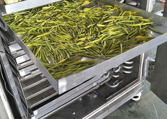 فریزر خشک کن فریزر خشک کن ماشین خشک کن فریزر خشک کن مواد غذایی فریزر خشک کن فریزر خشک کن