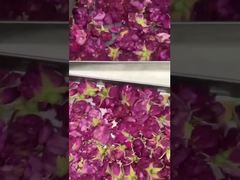 خشک کردن یخ در خانه: استفاده آسان، صرفه جویی در مصرف انرژی و مناسب آشپزخانه شما