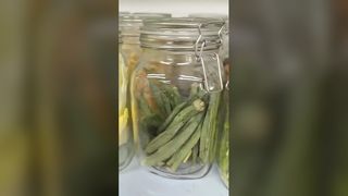 فریز خشک کن خانگی 25 سال تازه