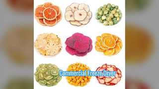 ترازوی تجاری فریز خشک کن صنعتی 100 کیلوگرم