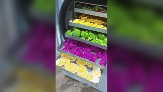 خانه فریز خشک کن نگهدارنده غذا خوب باشد