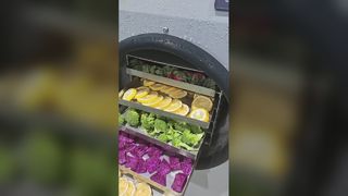 مواد غذایی نگهدارنده فریز خشک کن خانگی الیت