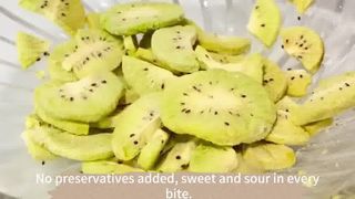 نیروگاه فرآوری مواد غذایی فریز خشک کن صنعتی