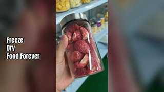 خانه فریز خشک کن مواد غذایی را تازه نگه دارید