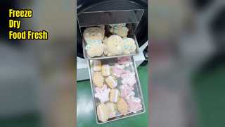 یخ خشک کن خانگی حفظ تازگی غذا