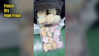 فریزر خشک کن خانگی برای نگهداری مواد غذایی