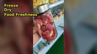 یخ خشک کن خانگی مواد غذایی را به حداکثر برسانید