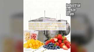 یخ خشک کن صنعتی: حفظ حجم بالا