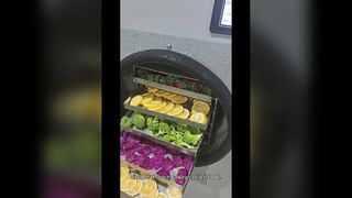 یخ خشک کن خانگی برای نگهداری طولانی مدت مواد غذایی
