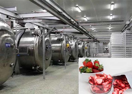 100 کیلوگرم مواد غذایی خلاء فریزر خشک کن صنعتی فریزر خشک کن تجهیزات