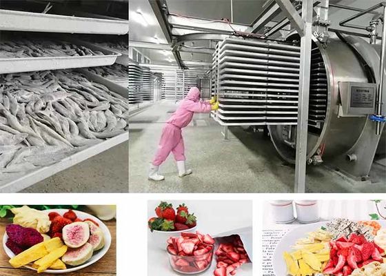 دستگاه خشک کن یخچال مواد غذایی تحت کنترل PLC 200kg/بار