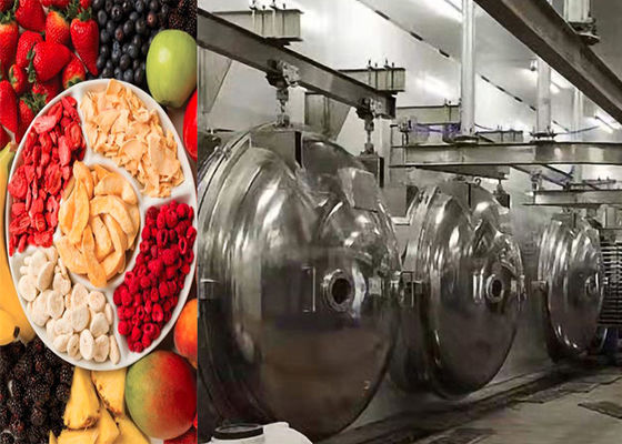 ماشین خشک کن یخ و خلاء مواد غذایی صنعتی