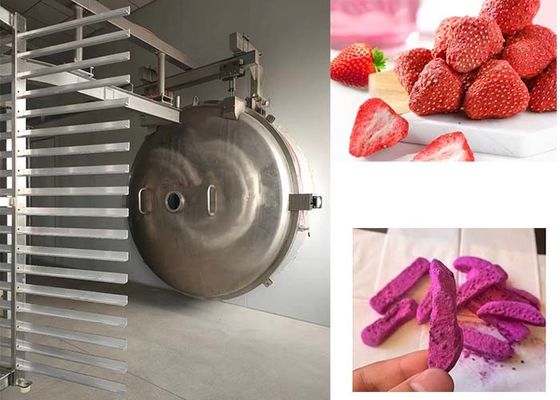 فریزر خشک کن صنعتی برای کاربردهای خشک کن سفارشی و چند وجهی