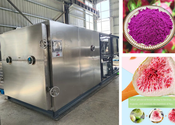100 کیلوگرم PLC کنترل شده Stayfresh Freeze Dryer برای خشک کردن سریع
