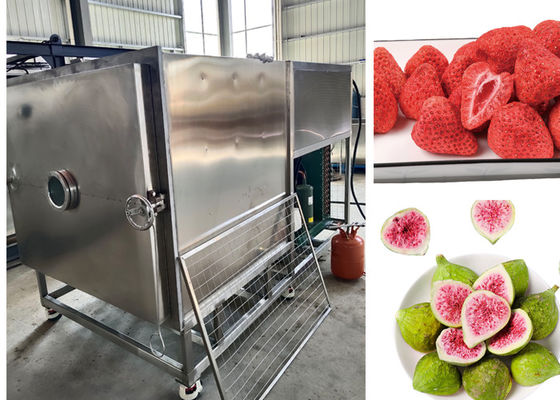 300 کیلوگرم در هر دسته مواد غذایی بزرگ دستگاه خشک کن و فریزر خلاء کنترل شده توسط PLC