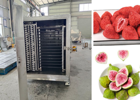کنترل از راه دور PLC مواد غذایی خلاء فریز خشک کن برای فرآیند خشک کردن