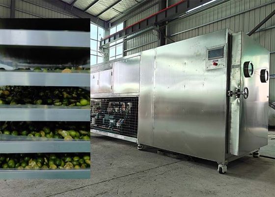 سیستم خنک کننده قدرتمند Bitzer / Leybold فریزر خشک کن برای میوه