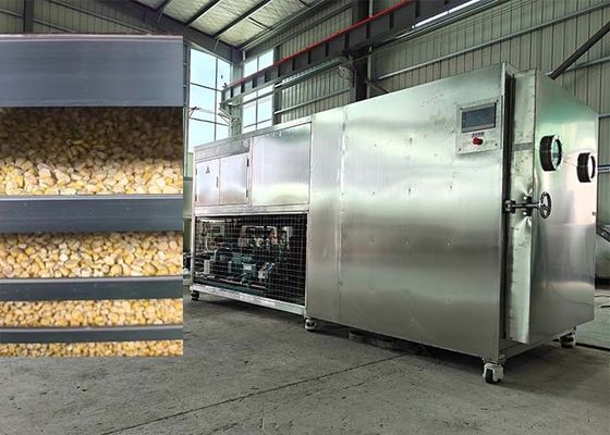 دستگاه خشک کن یخچال مواد غذایی دستگاه خشک کن میوه لیوفیلیزر تجهیزات خشک کن