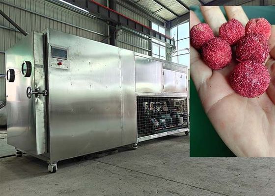 دستگاه خشک کن یخچال خلاء کنترل شده توسط PLC 30-35kg/بار