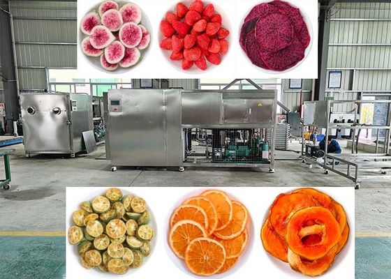 OEM / ODM مواد غذایی خلاء فریز خشک کن تجربه بی نظیر عملکرد فریز خشک کن
