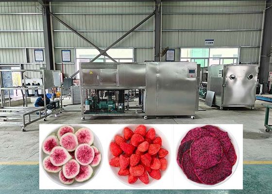 کارایی حرفه ای فریز دی هیدراتور با تله سرد -40 °C