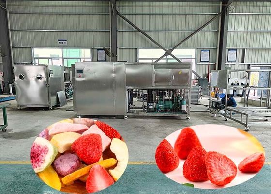 100 کیلوگرم در هر دسته دستگاه خشک کن صنعتی با 60 دی بی