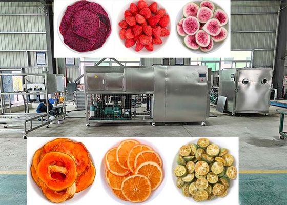 خلاء 10Pa فریزر خشک کن لیوفیلیزر ماشین با کنترل PLC