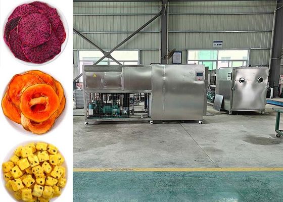 خشک کن فراوری خلاء مواد غذایی حرفه ای برای نتایج خشک کردن بهینه