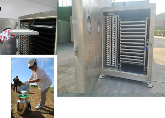 دستگاه خشک کن سبز صنعتی با سیستم کنترل PLC