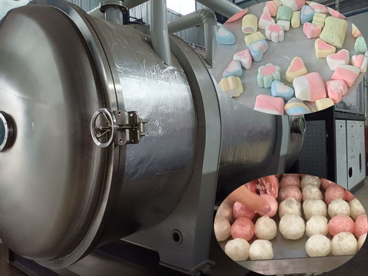 500 کیلوگرم دستگاه خشک کن یخچال مواد غذایی صنعتی لیوفیلیزر بزرگ برای پردازش مواد غذایی
