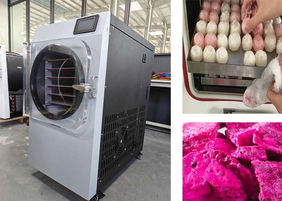 سیستم کنترل PLC 304 فولاد ضد زنگ دستگاه خشک کن یخ برای استفاده خانگی