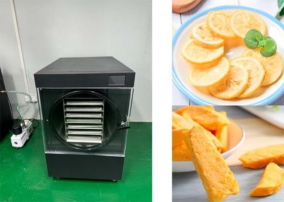10 ~ 20 کیلوگرم سیستم خنک کننده Bitzer فریزر خشک کن برای استفاده خانگی