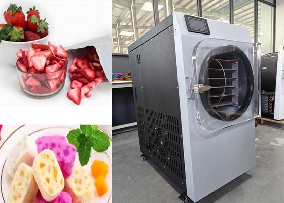 220 ولت 20 تا 25 کیلوگرم ظرفیت دستگاه خشک کن یخ برای خانه