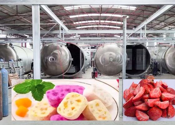 1000 کیلوگرم فریز خشک کن بزرگ برای سریع 20-24H نتایج خشک کردن دقیق