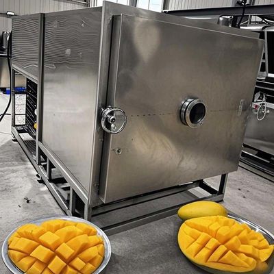 FreezeDryTech Pro Mango ذخیره سازی مواد غذایی لیوفیلیزر برای سبزیجات و میوه ها