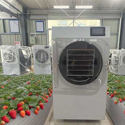 6 کیلوگرم آزمایش فریزر خشک کن تحقیق و توسعه به تولید دسته کوچک با PLC صفحه لمسی