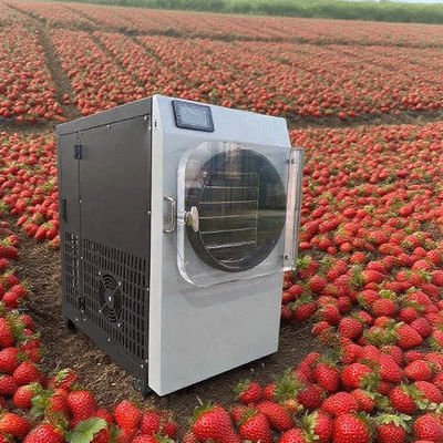 خشک کن انجمادی تجاری با فولاد ضد زنگ 304 و پمپ بوش - خشک کن انجمادی با راندمان بالا