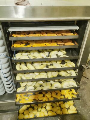 واحد یخچال BITZER دستگاه خشک کن منجمد قدرت نامی 200KW تجهیزات خشک کن منجمد برای صنایع داروسازی مواد غذایی و شیمیایی