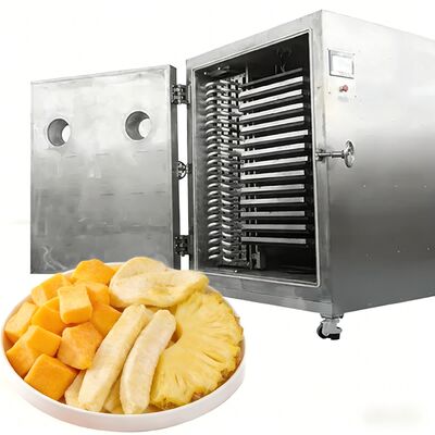 100 کیلوگرم 200 کیلوگرم ماشین فریز خشک کن تجاری لیوفیلیزر