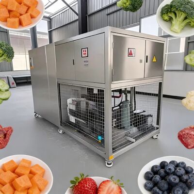 3800 1550 1850mm Food Vacuum Freeze Dryer PLC Control System 2600Kg Capacity Perfect for Large Scale Food Freeze Drying