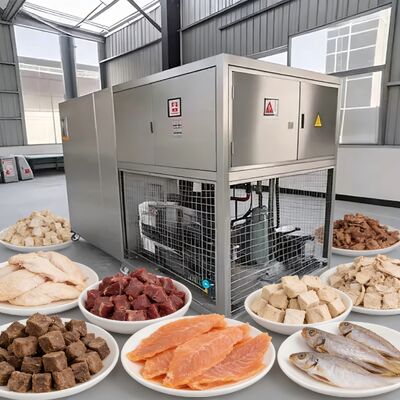 خشک کن انجمادی خلاء مواد غذایی با محدوده دمای خشک کردن انجمادی منفی ۴۰ تا ۸۰ درجه و پمپ خلاء Baosi یا  برای کار